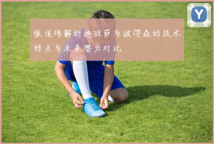 张佳玮解析迪班萨与彼得森的技术特点与未来潜力对比