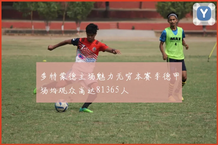 多特蒙德主场魅力无穷本赛季德甲场均观众高达81365人