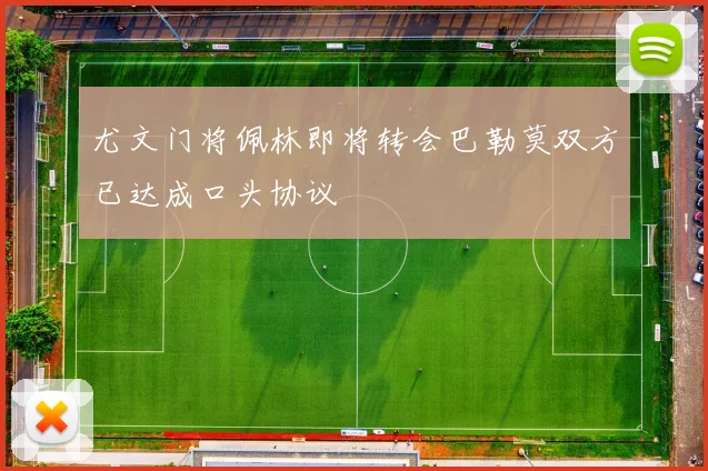 尤文门将佩林即将转会巴勒莫双方已达成口头协议